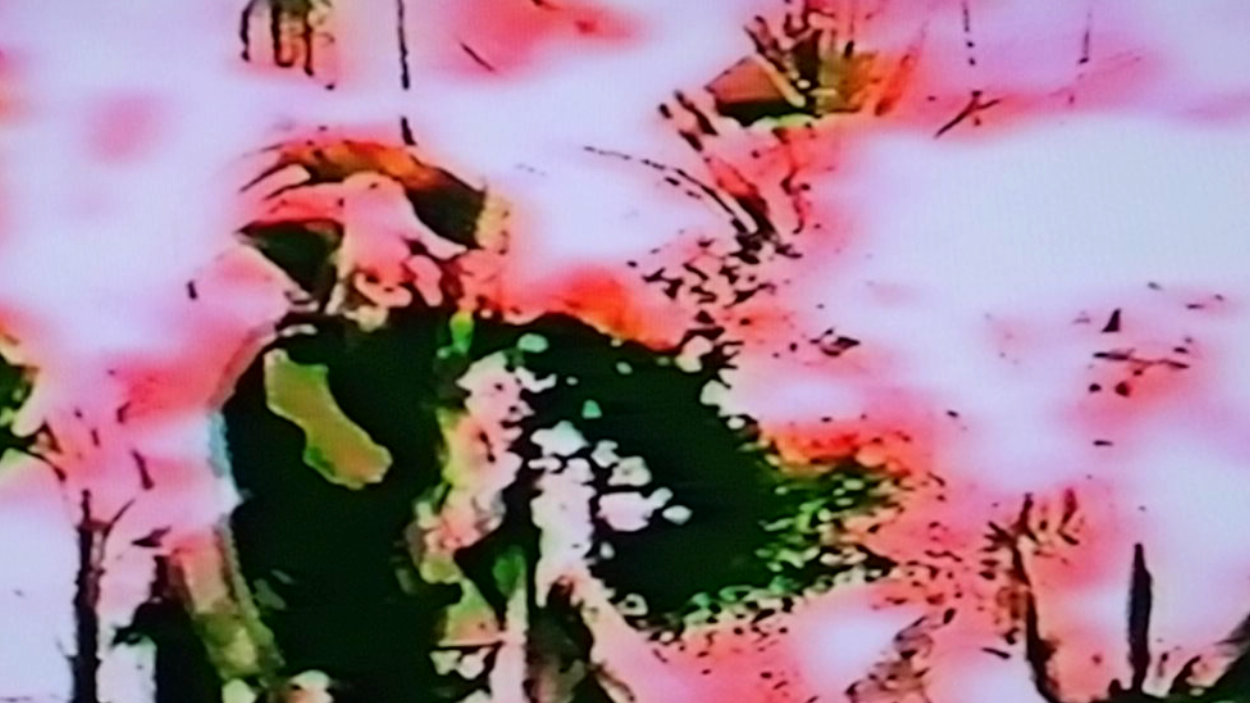 Thee Films (screenshots)