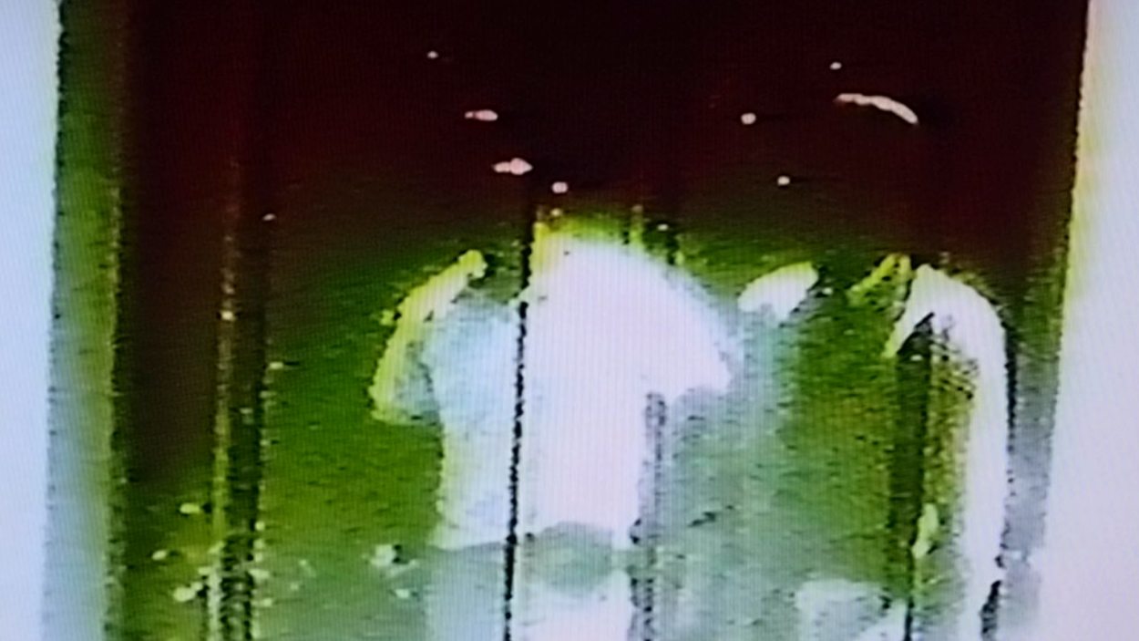 Thee Films (screenshots)