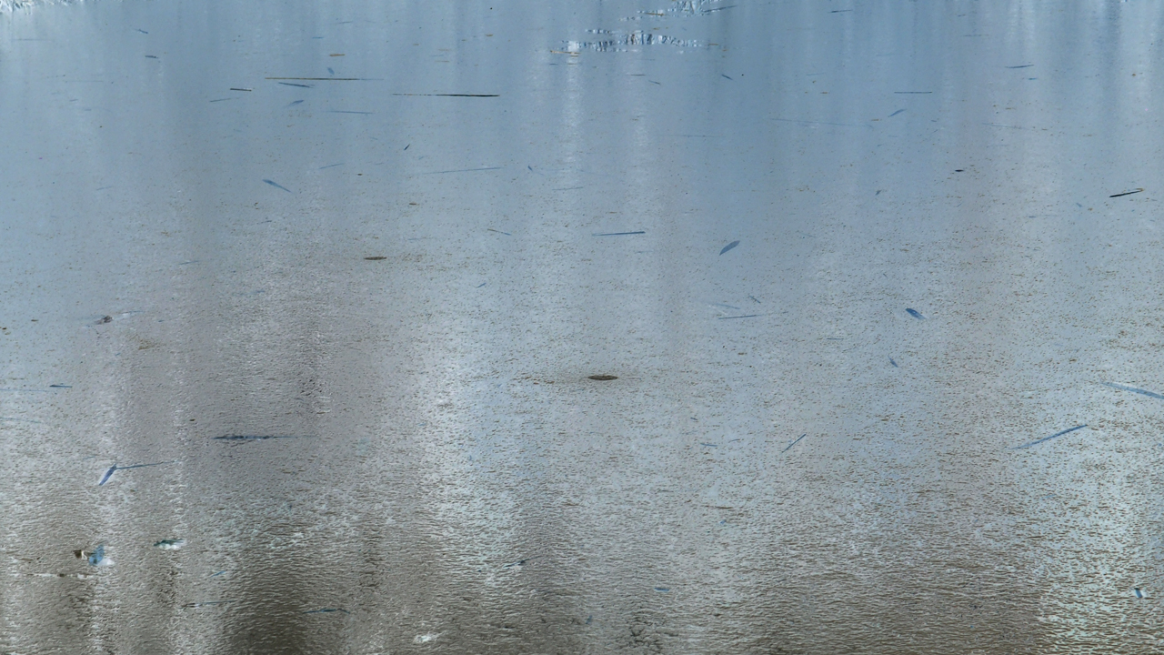 2021-01-28 Wasser in der Sple II (On-Off) (Komposition, Recording, Foto)
