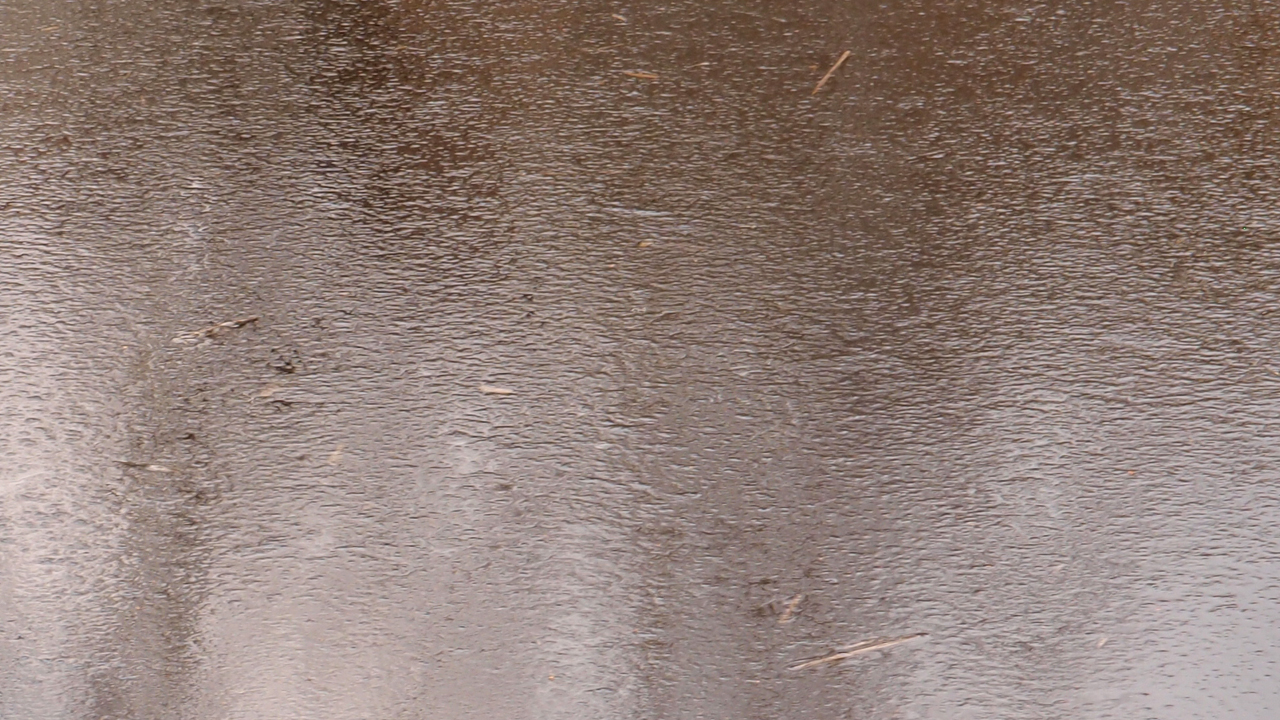 2021-01-28 Wasser in der Sple II (On-Off) (Komposition, Recording, Foto)
