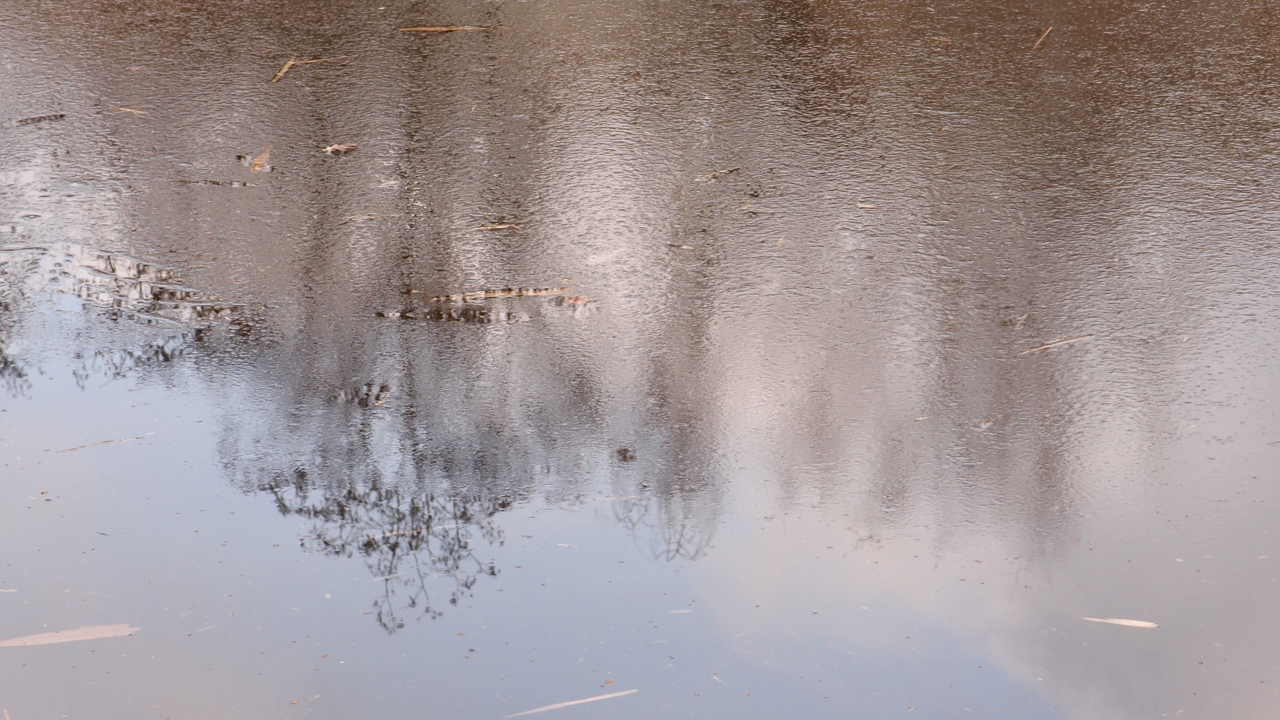2021-01-28 Wasser in der Sple II (On-Off) (Komposition, Recording, Foto)