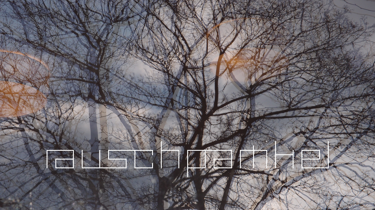 2021-01-28 Wasser in der Sple II (On-Off) (Komposition, Recording, Foto)