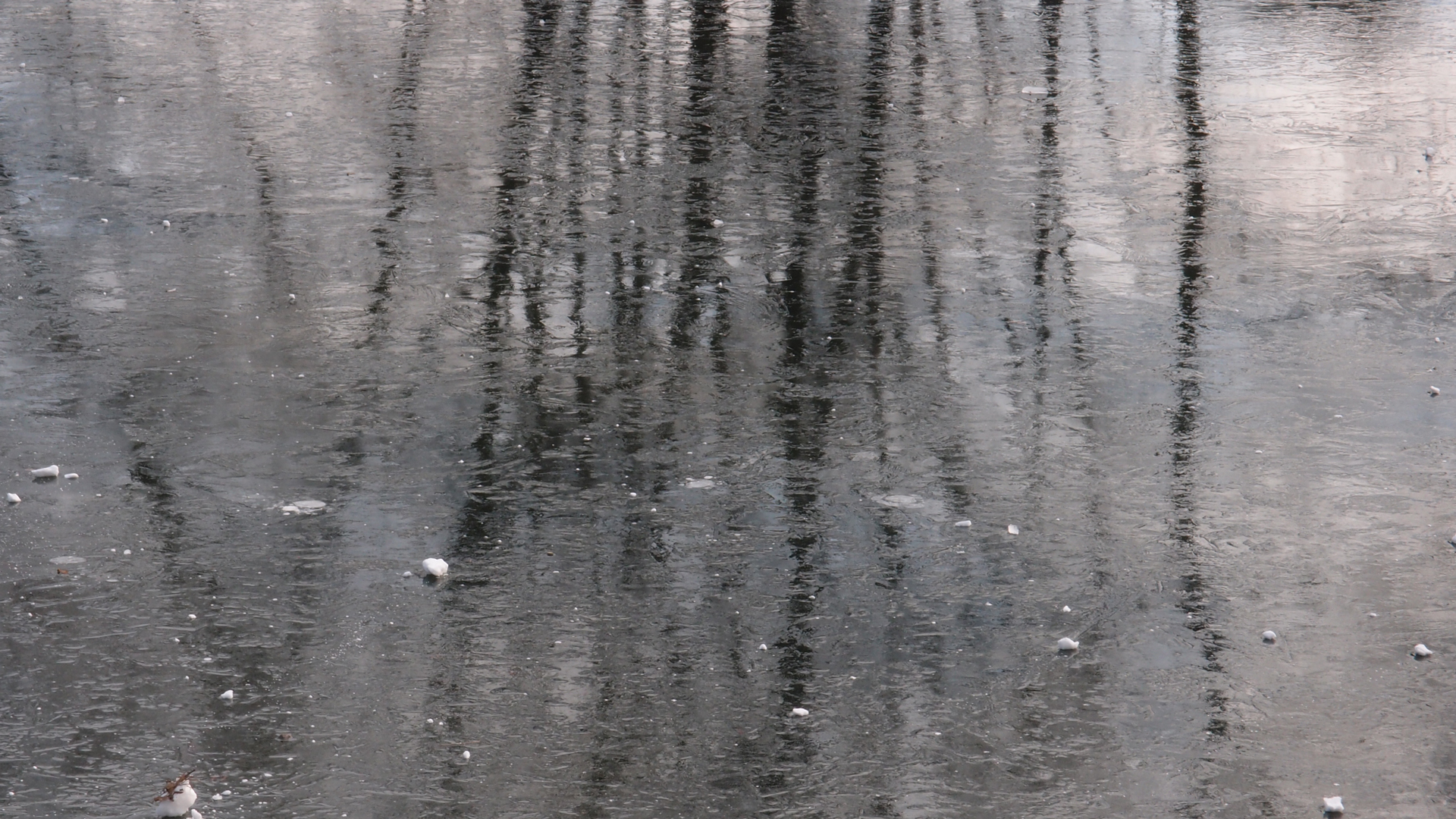 2021-02-02 Wasser in der Sple II, On-Off mit Parameterwechsel (Remix John Cage 'Book Of Music') (Komposition, Remix, Recording, Foto)