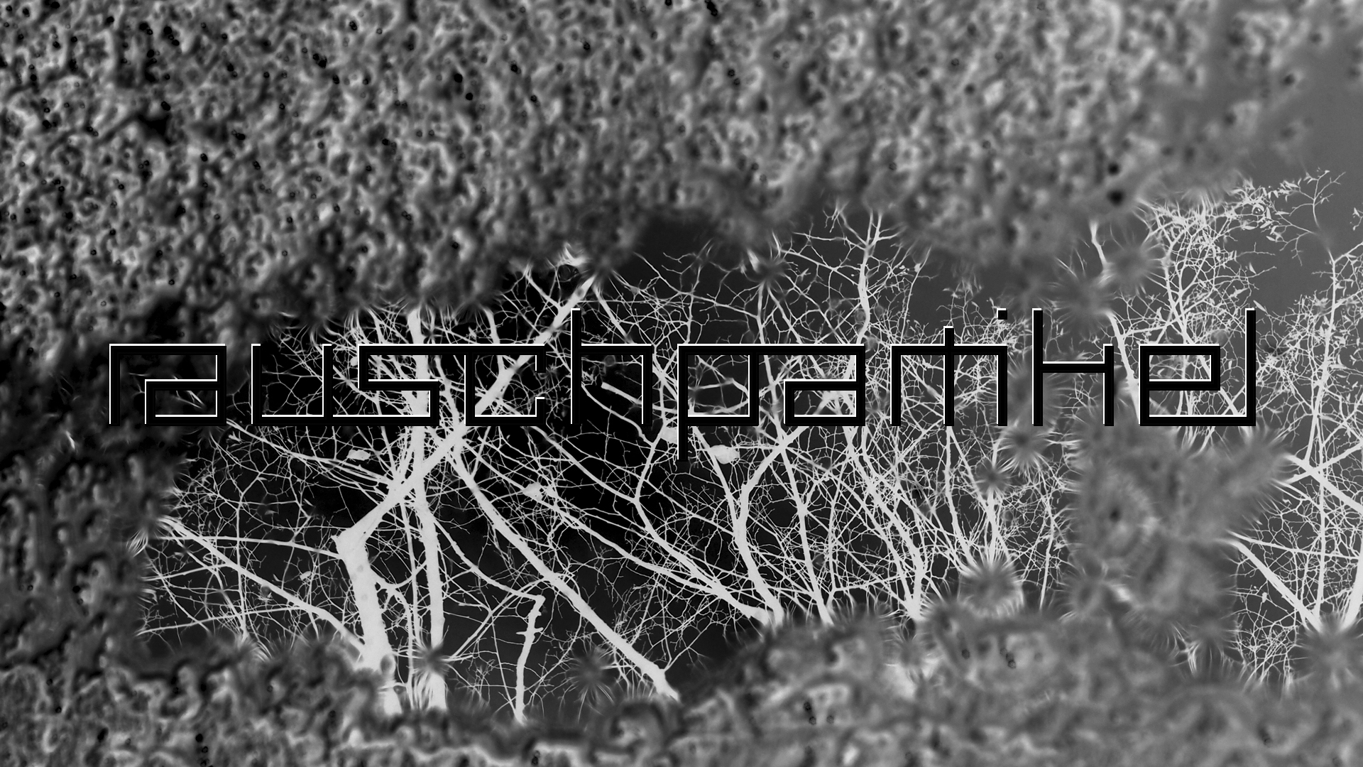 2021-02-07 Wasser in der Sple II On-Off, PW (Burroughs-Remix) (Komposition, Remix, Recording, Foto)