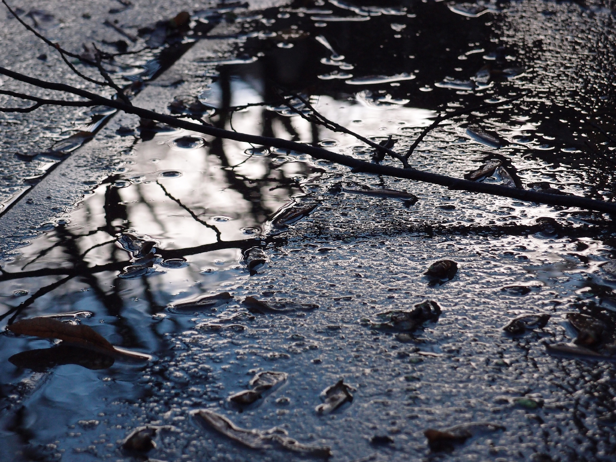 049 2015-11-18 Wasser (passiv)