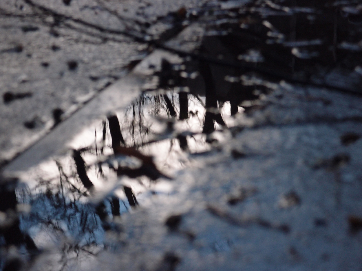049 2015-11-18 Wasser (passiv)
