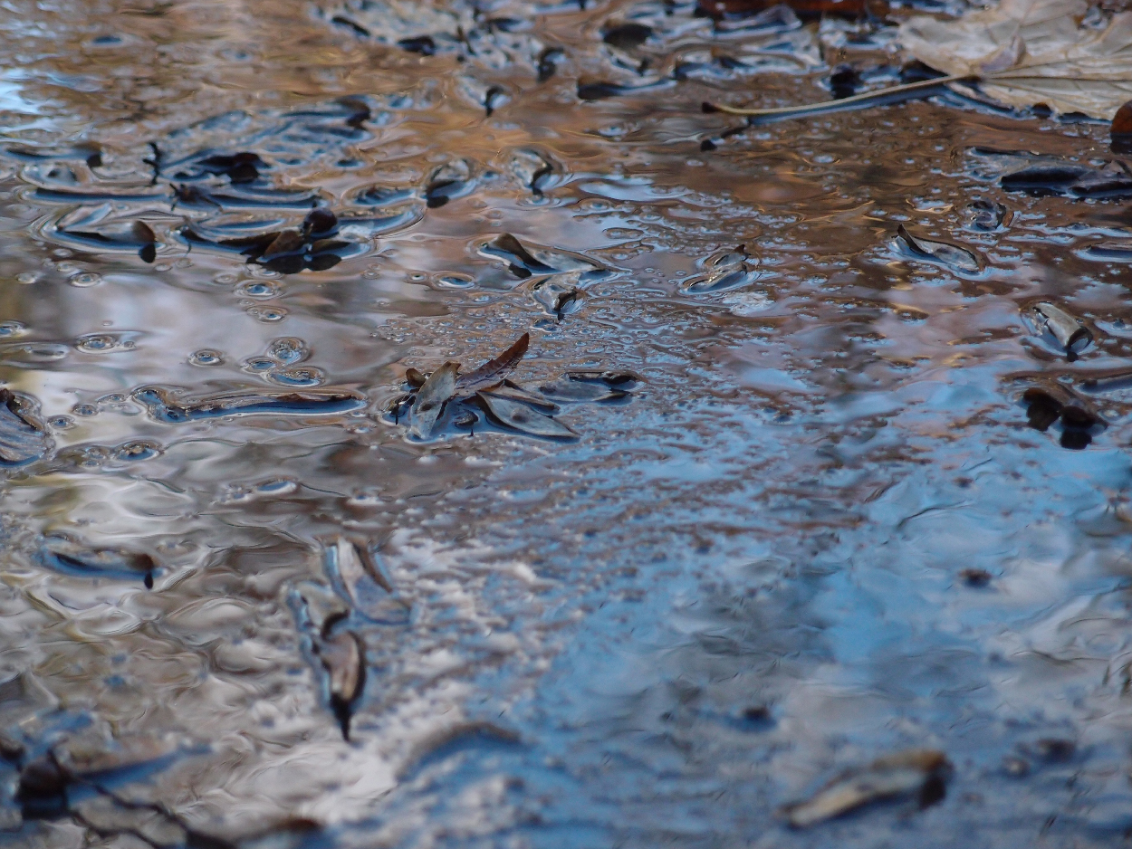 049 2015-11-18 Wasser (passiv)