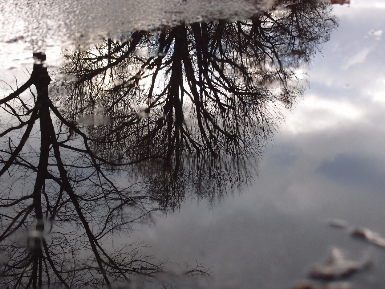 049 2015-11-18 Wasser (passiv)
