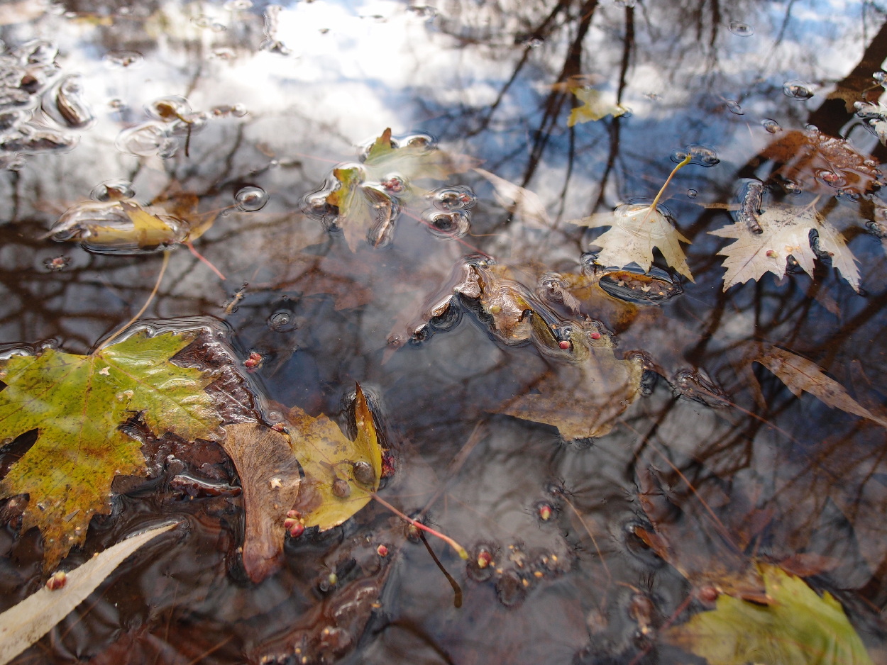 049 2015-11-18 Wasser (passiv)
