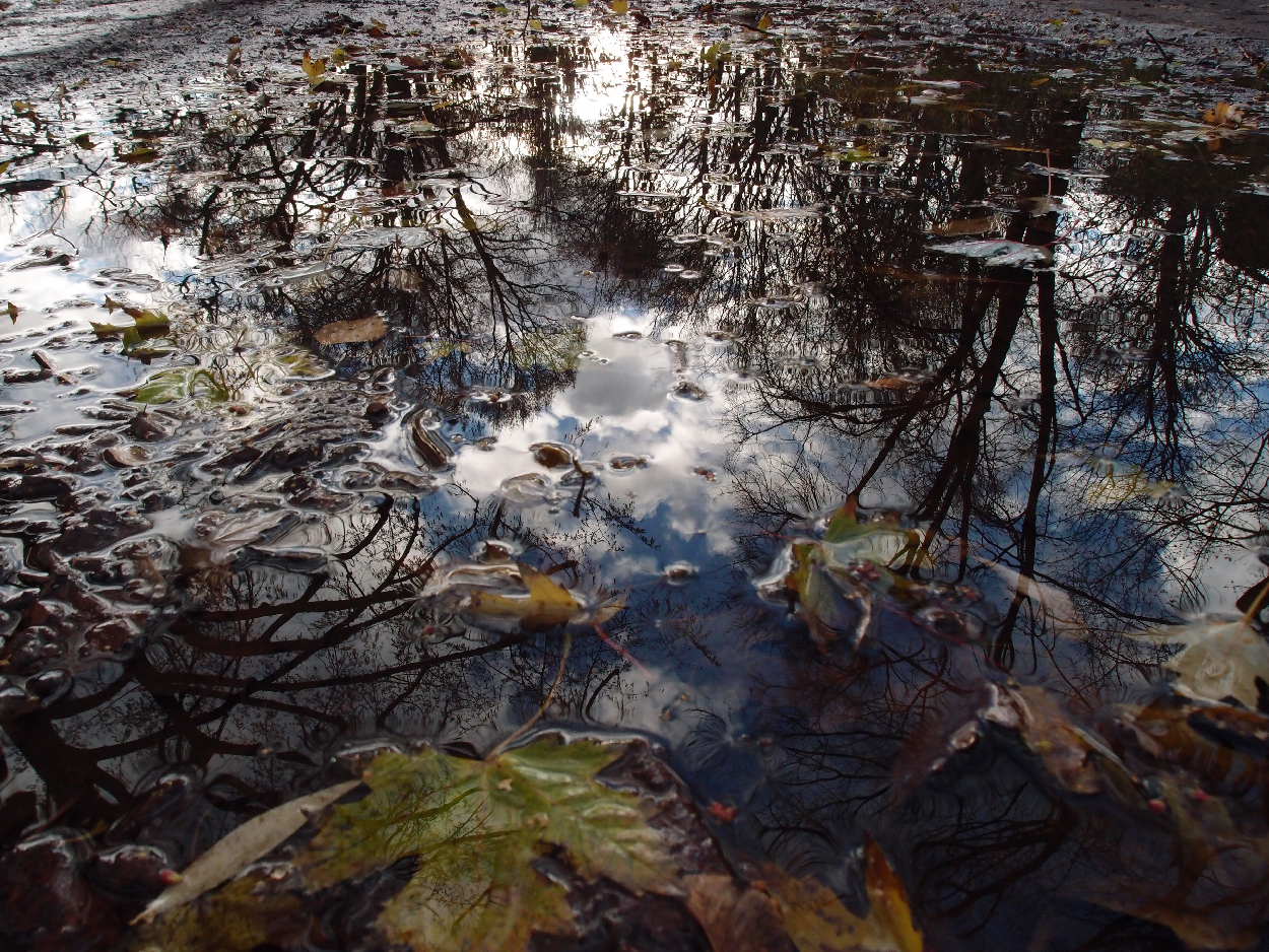 049 2015-11-18 Wasser (passiv)