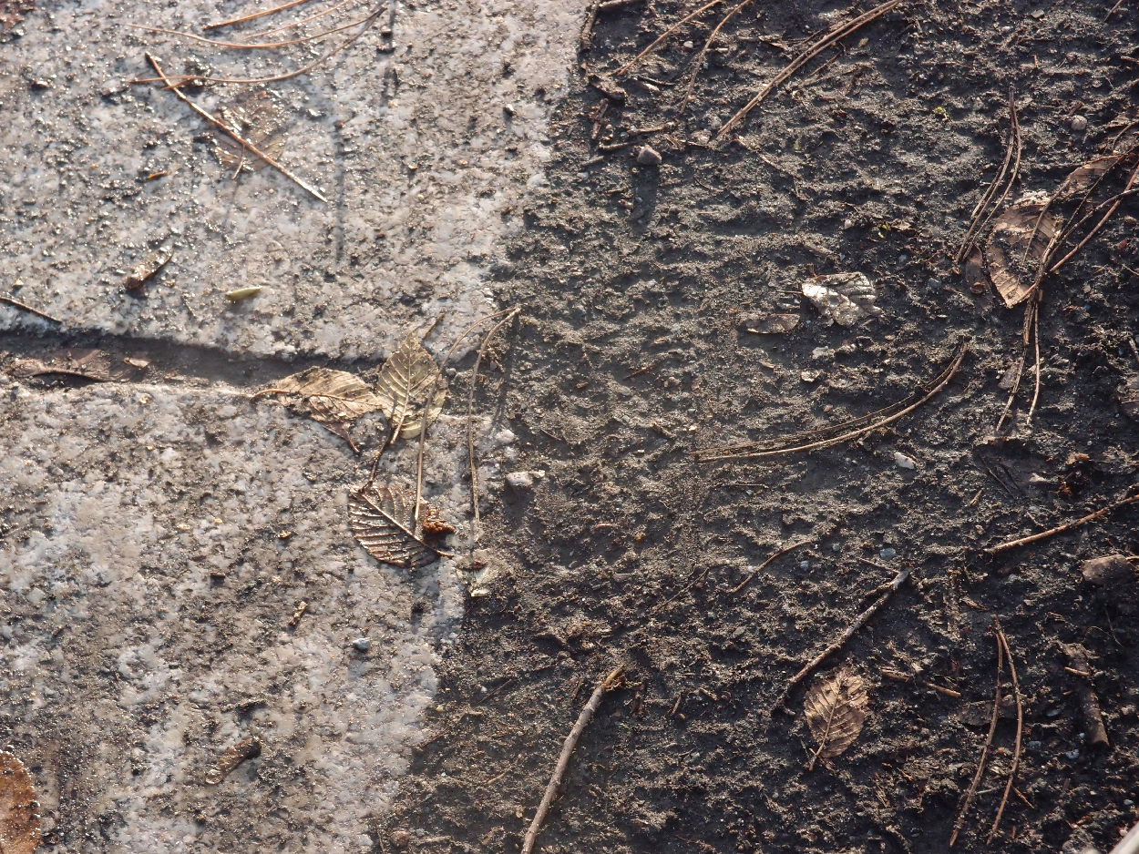049 2015-11-18 Wasser (passiv)