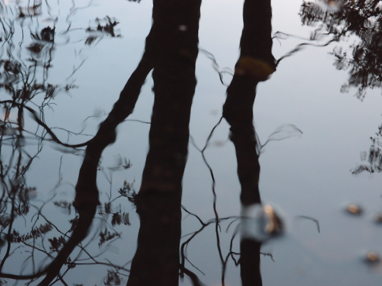 049 2015-11-18 Wasser (passiv)