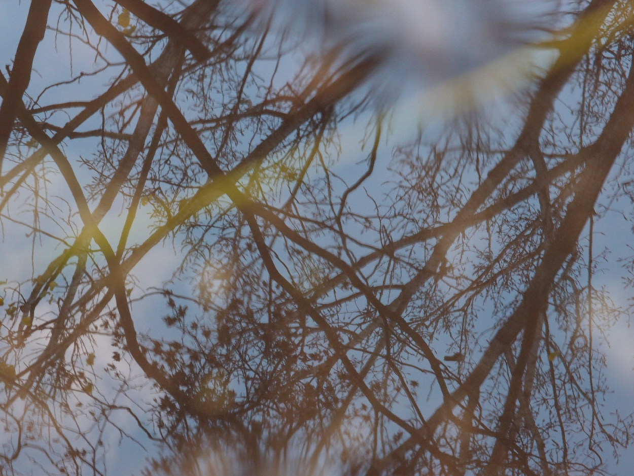 049 2015-11-18 Wasser (passiv)