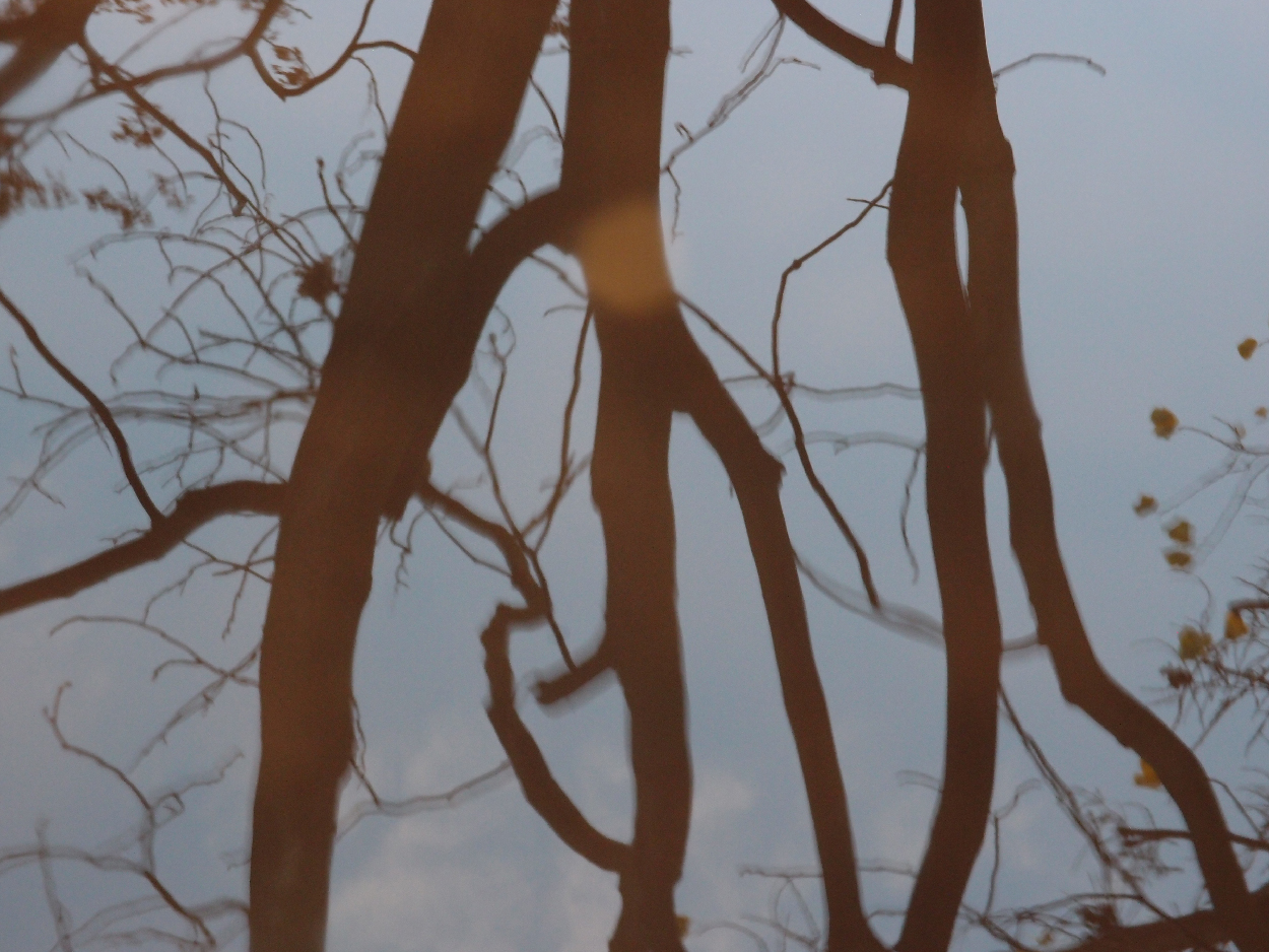 049 2015-11-18 Wasser (passiv)
