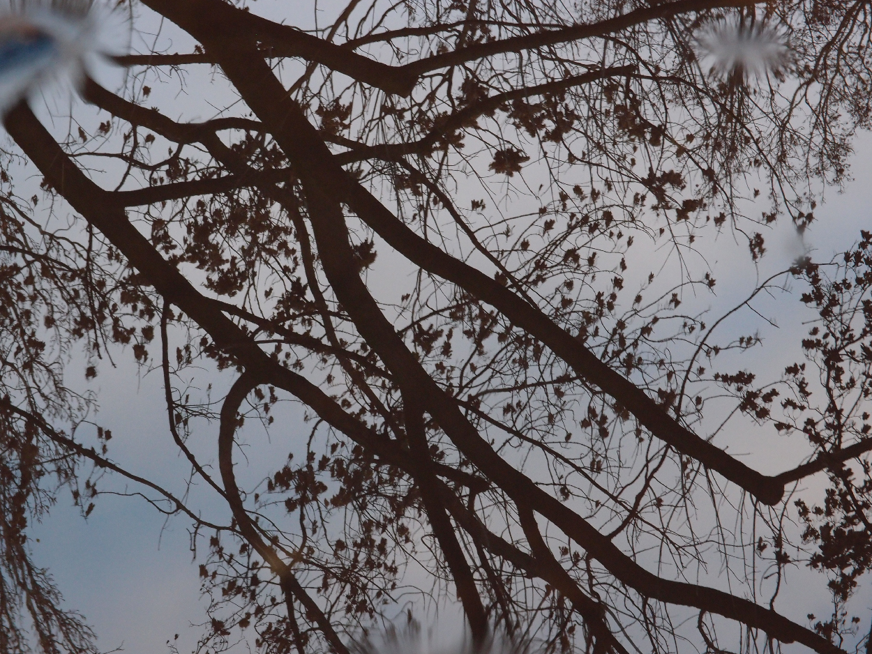 049 2015-11-18 Wasser (passiv)