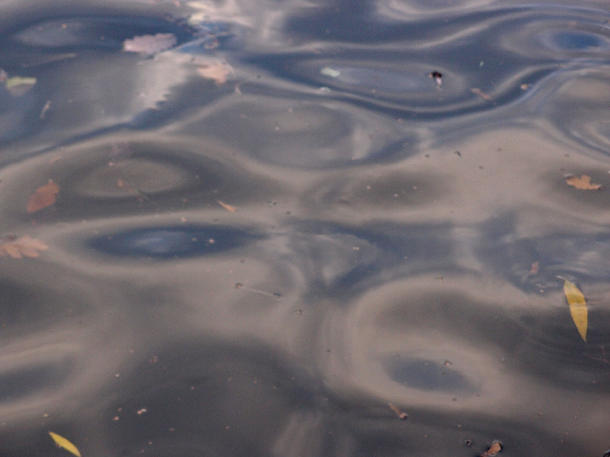 049 2015-11-18 Wasser (passiv)
