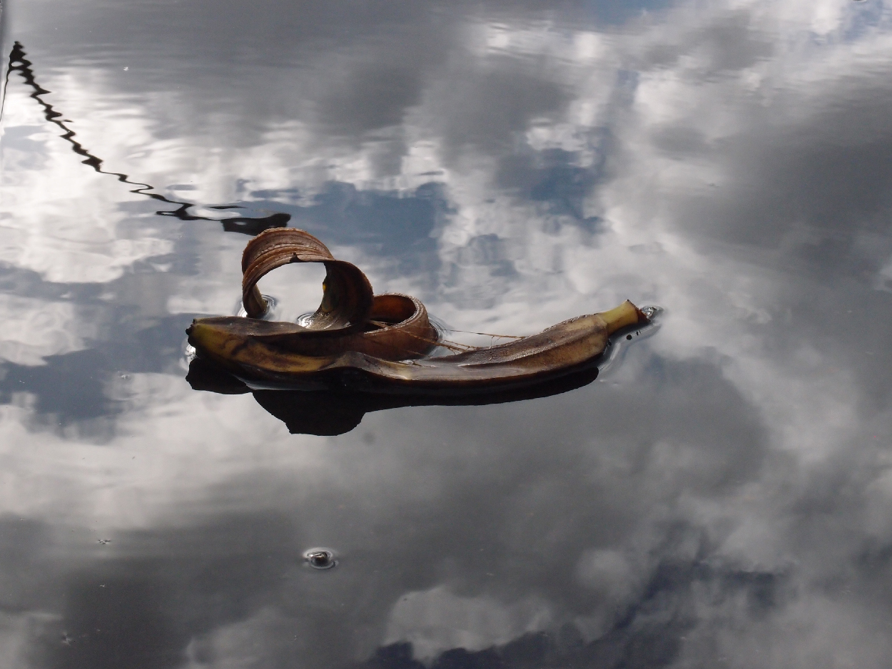 050 2015-11-19 Wasser (stabil)