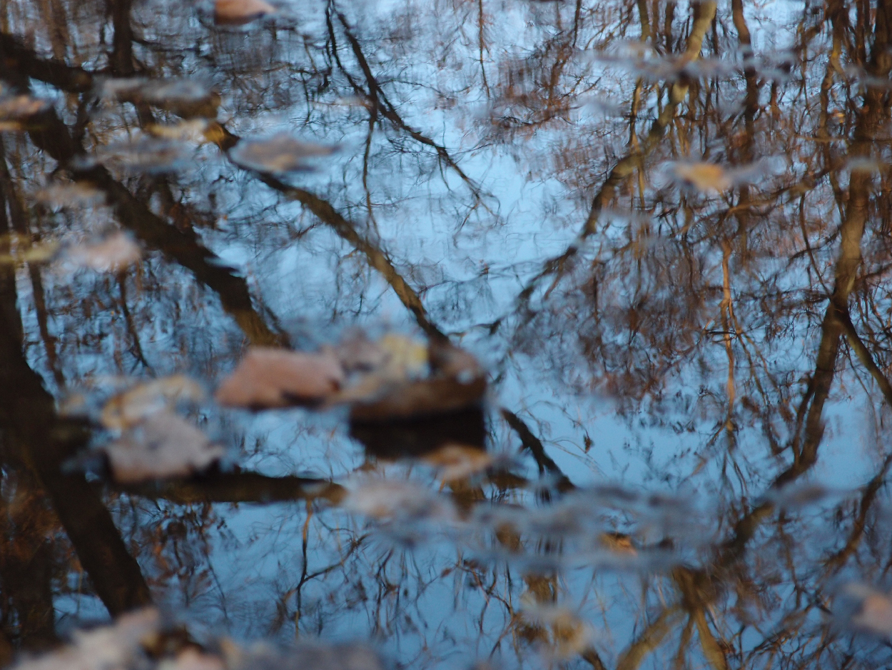 050 2015-11-19 Wasser (stabil)