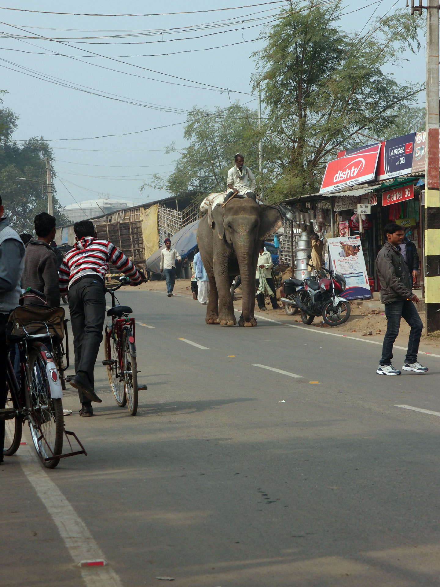 Bodhgaya 20. - 26. Dezember 2014 