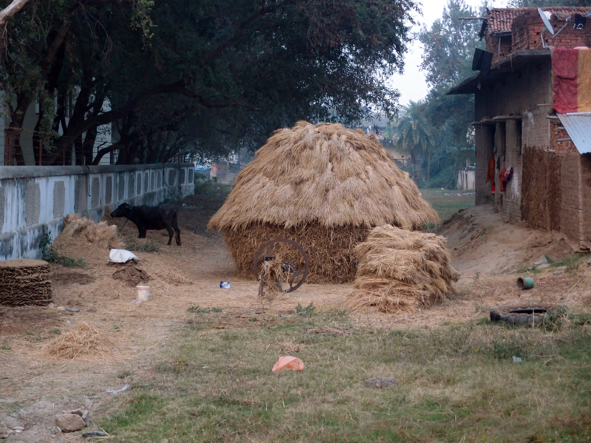 Bodhgaya 20. - 26. Dezember 2014 