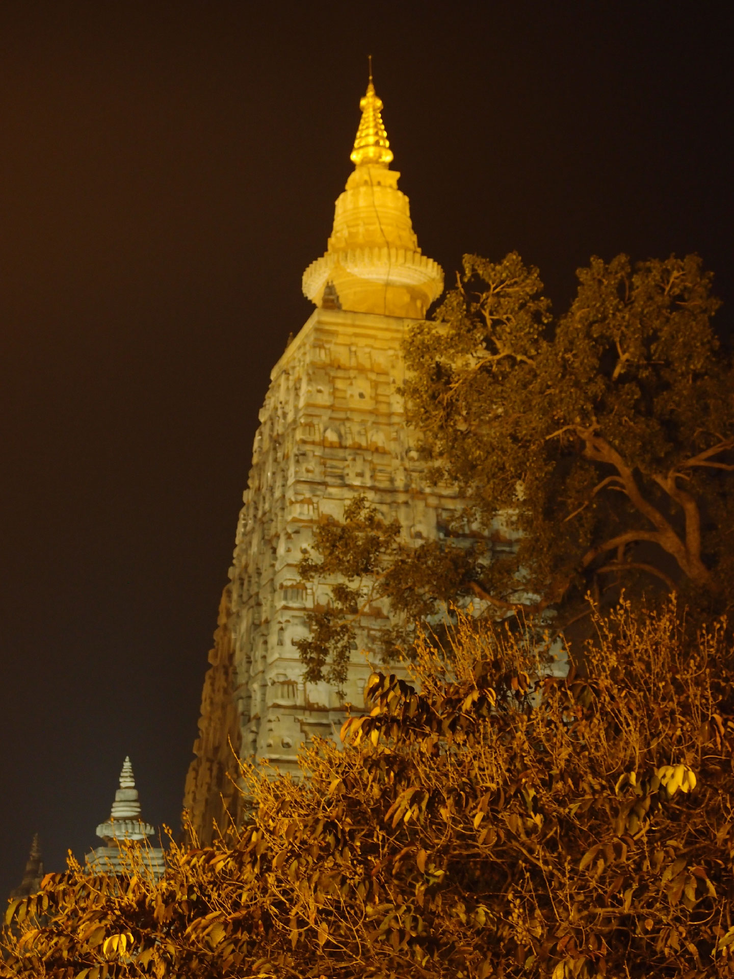 Bodhgaya 20. - 26. Dezember 2014 