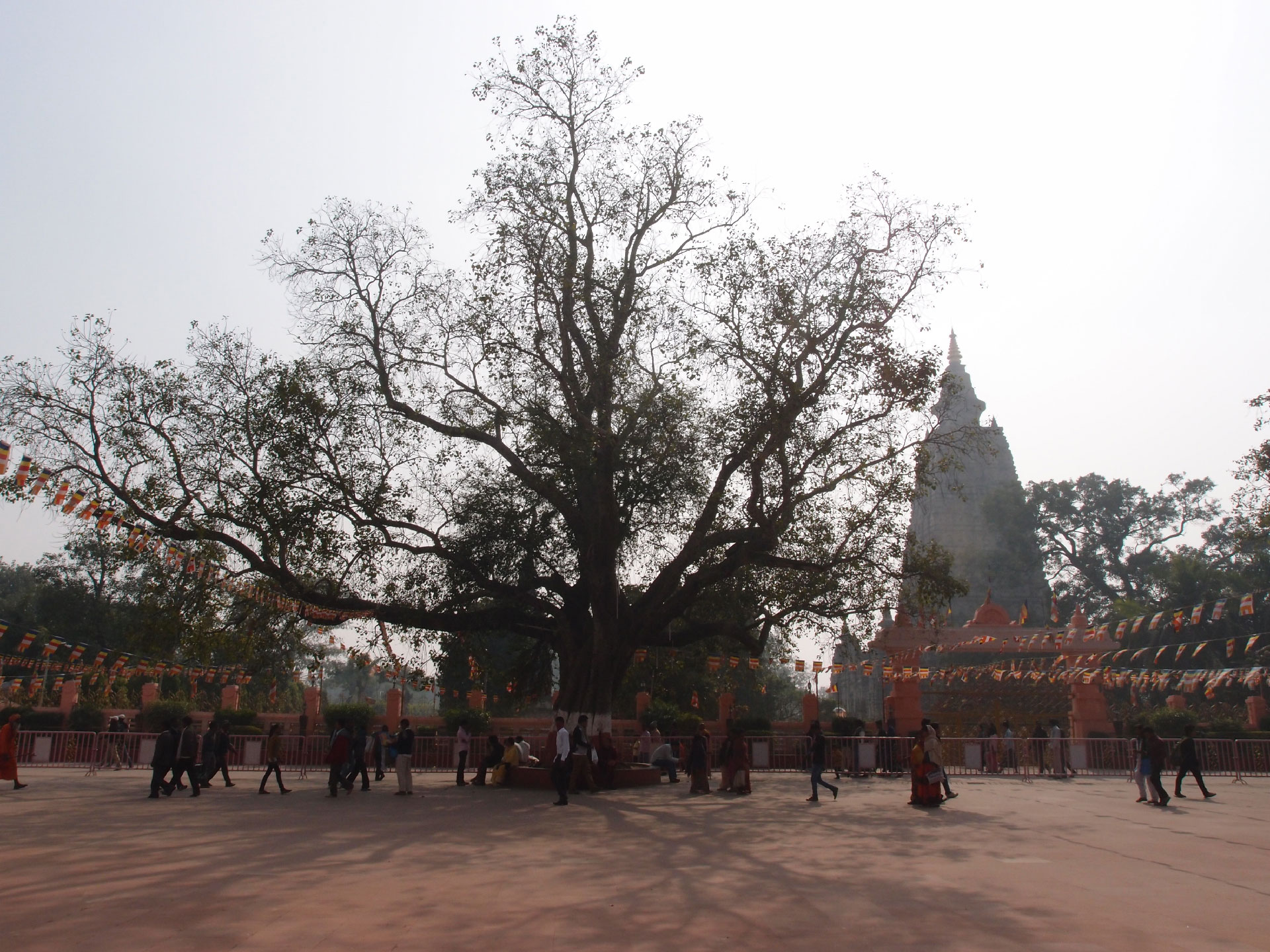 Bodhgaya 20. - 26. Dezember 2014 