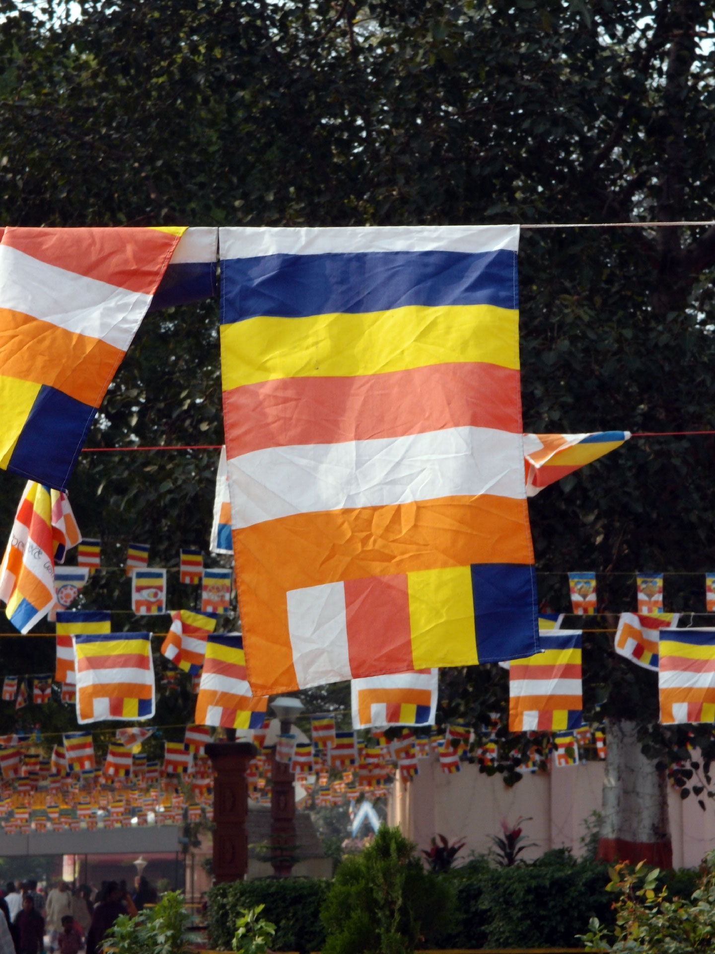 Bodhgaya 20. - 26. Dezember 2014 