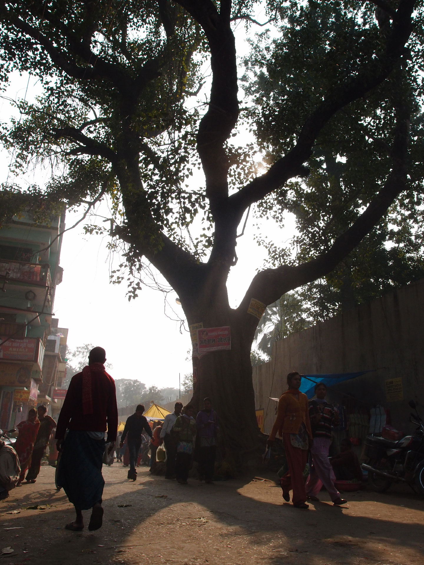 Bodhgaya 20. - 26. Dezember 2014 