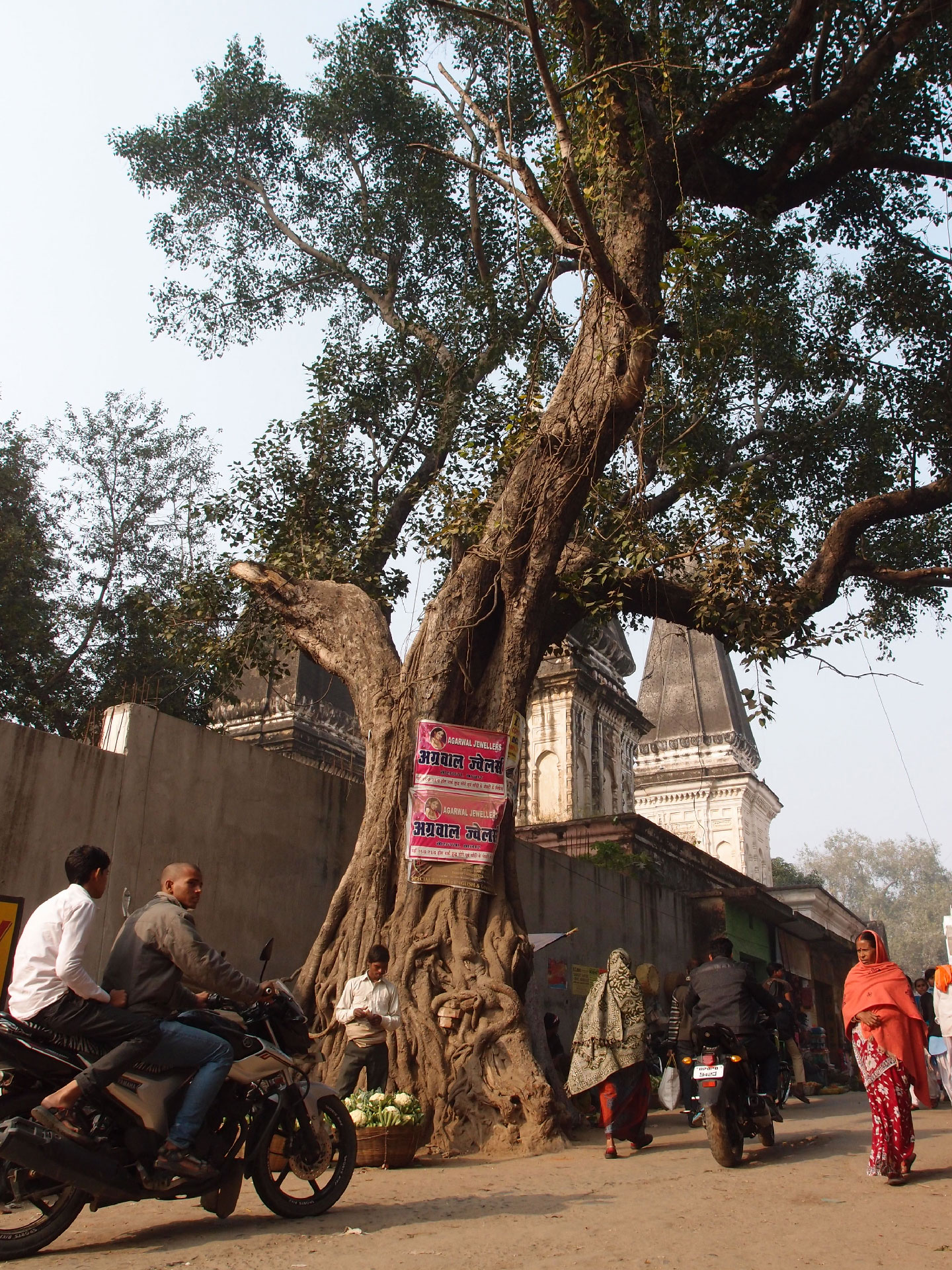 Bodhgaya 20. - 26. Dezember 2014 