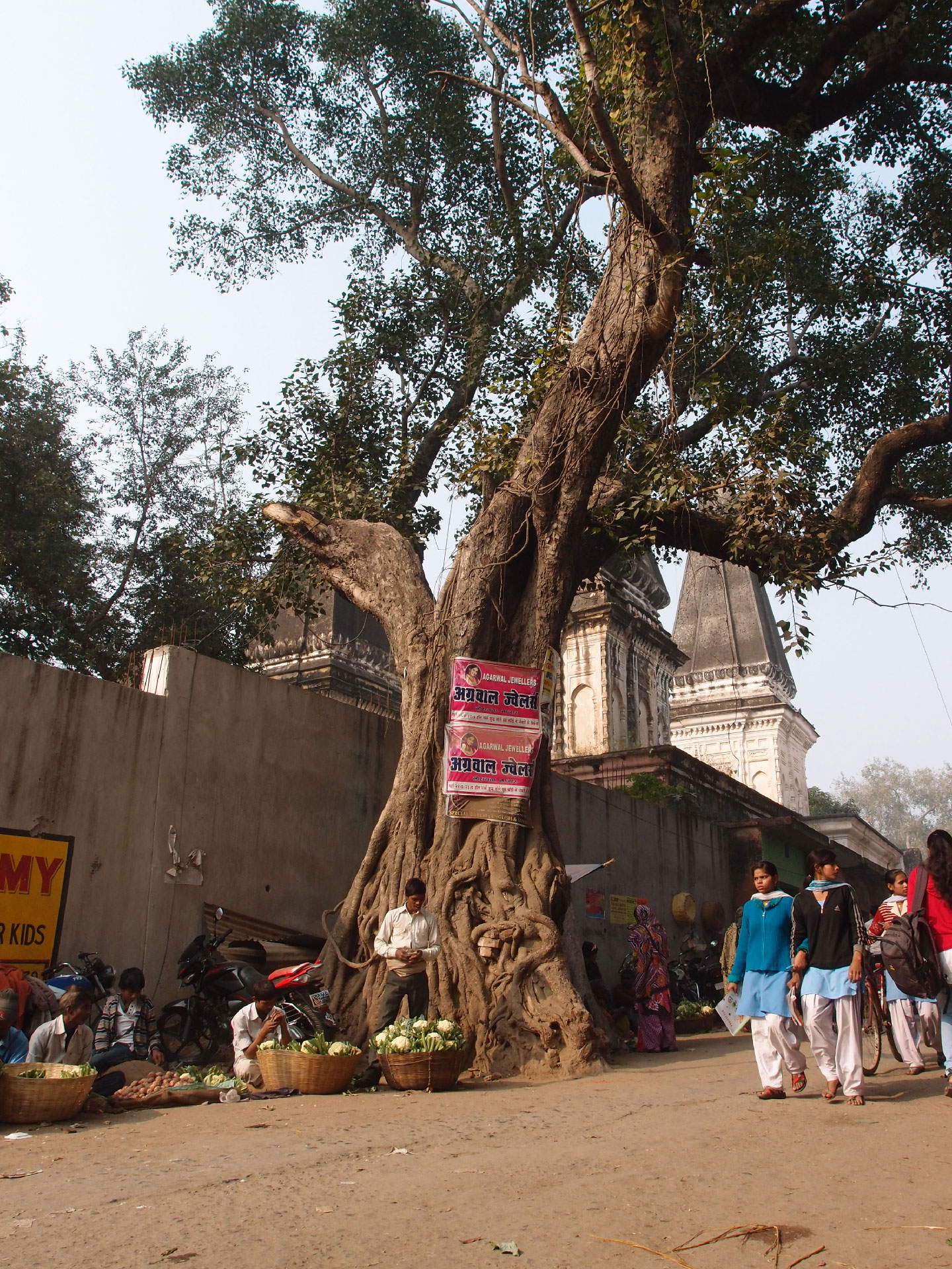 Bodhgaya 20. - 26. Dezember 2014 