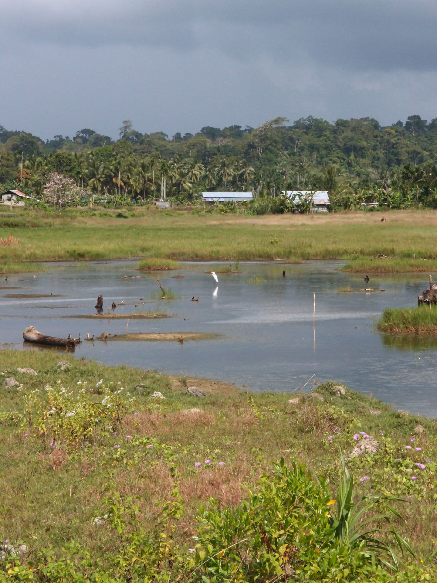 Port Blair 28. - 29. Dezember 2014