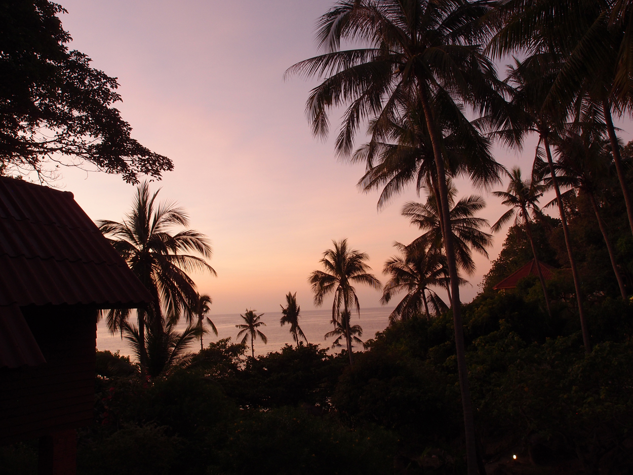 2019-12-23 - 2020-01-01 Coral View Resort