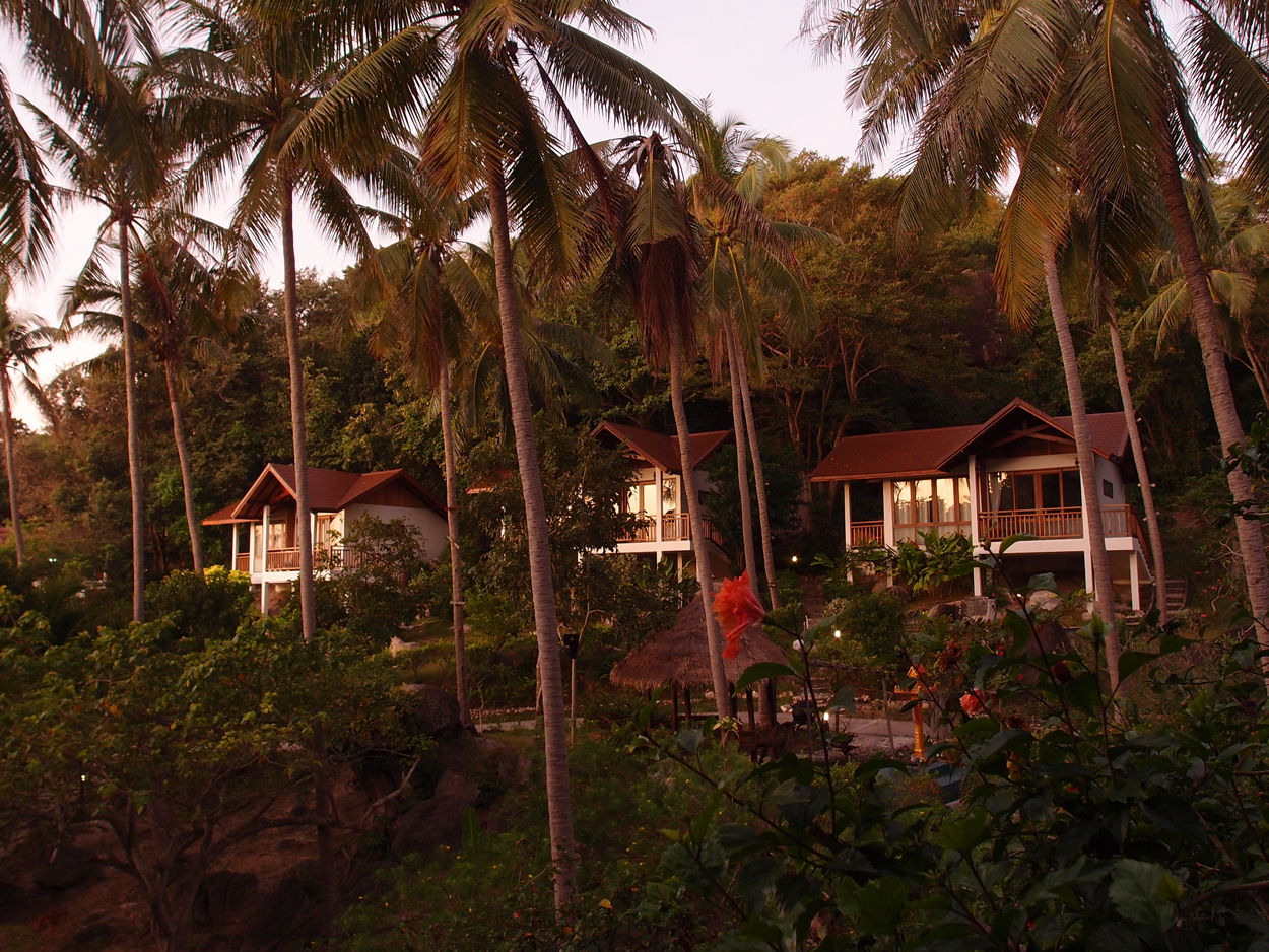 2019-12-23 - 2020-01-01 Coral View Resort