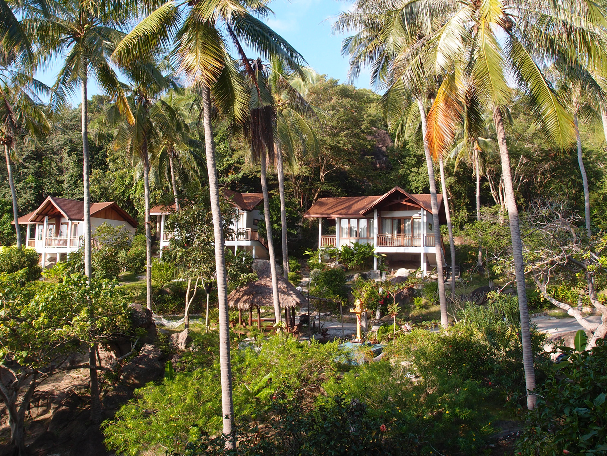 2019-12-23 - 2020-01-01 Coral View Resort