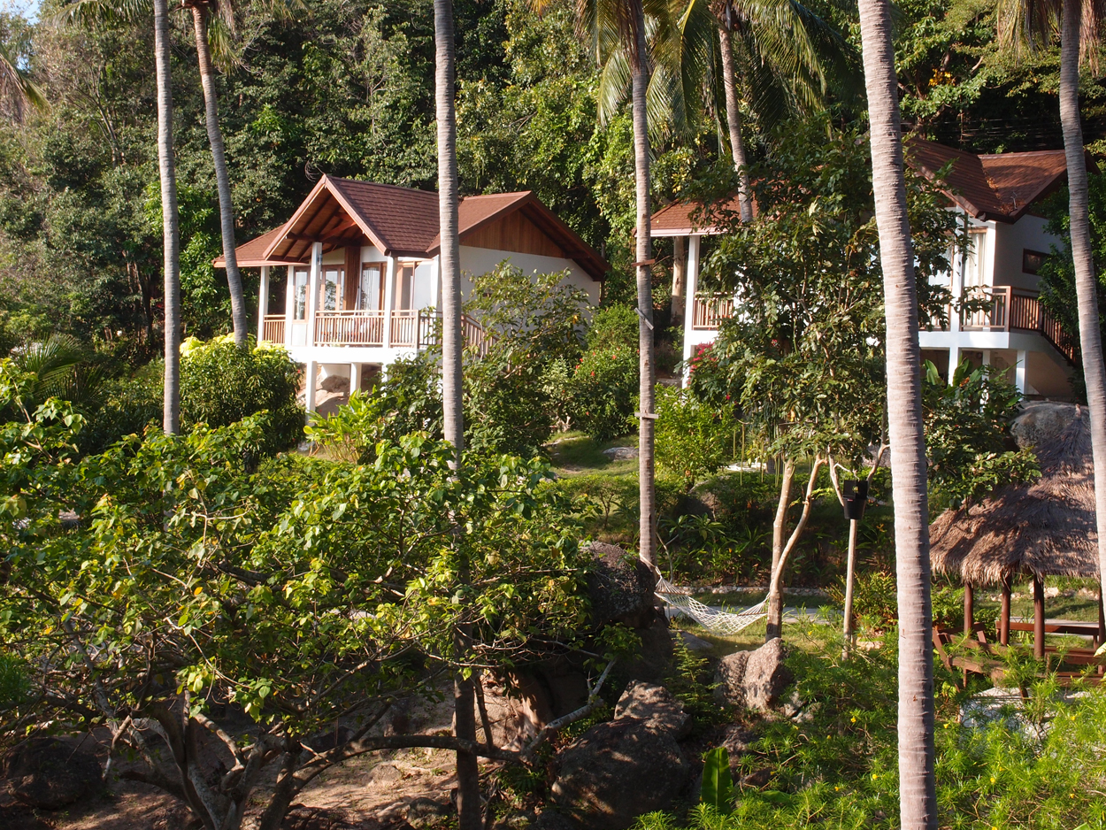 2019-12-23 - 2020-01-01 Coral View Resort
