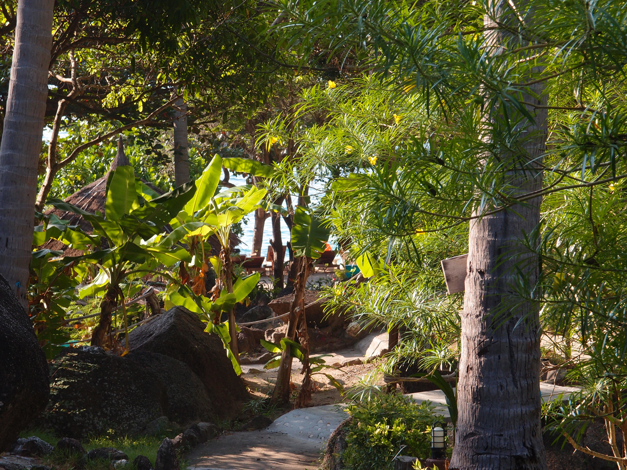 2019-12-23 - 2020-01-01 Coral View Resort