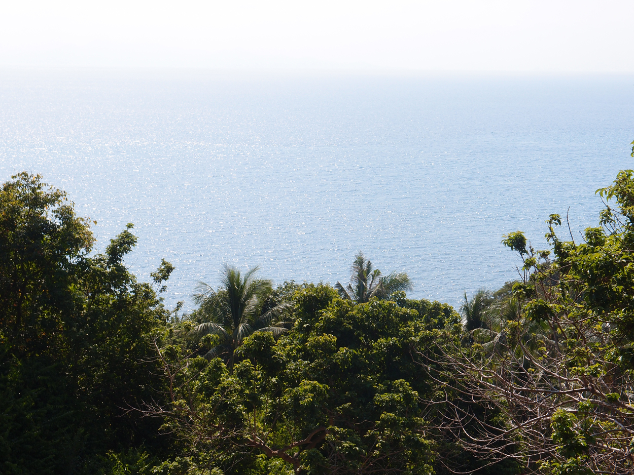 2019-12-23 - 2020-01-01 Coral View Resort