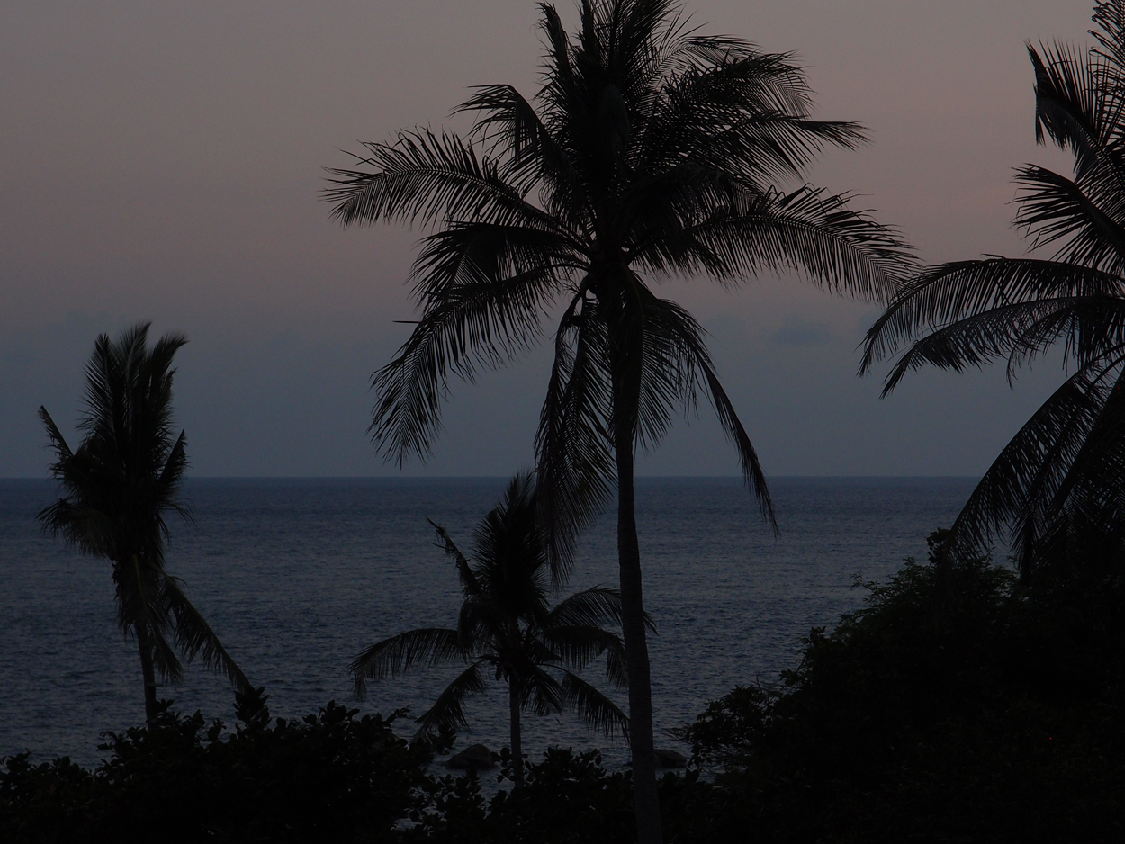 2019-12-23 - 2020-01-01 Coral View Resort