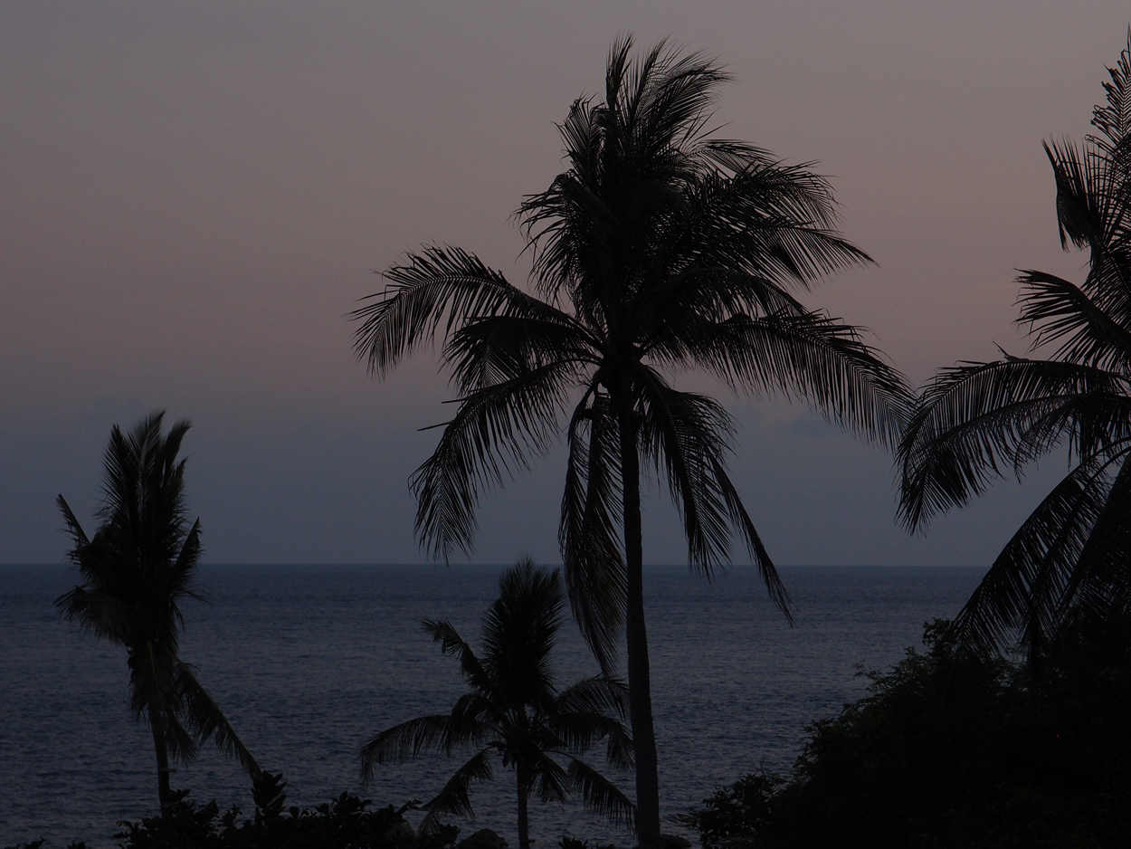 2019-12-23 - 2020-01-01 Coral View Resort