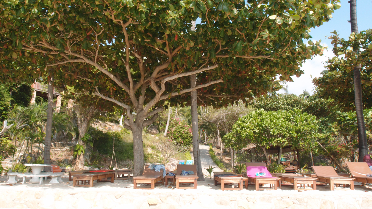 2019-12-23 - 2020-01-01 Coral View Resort