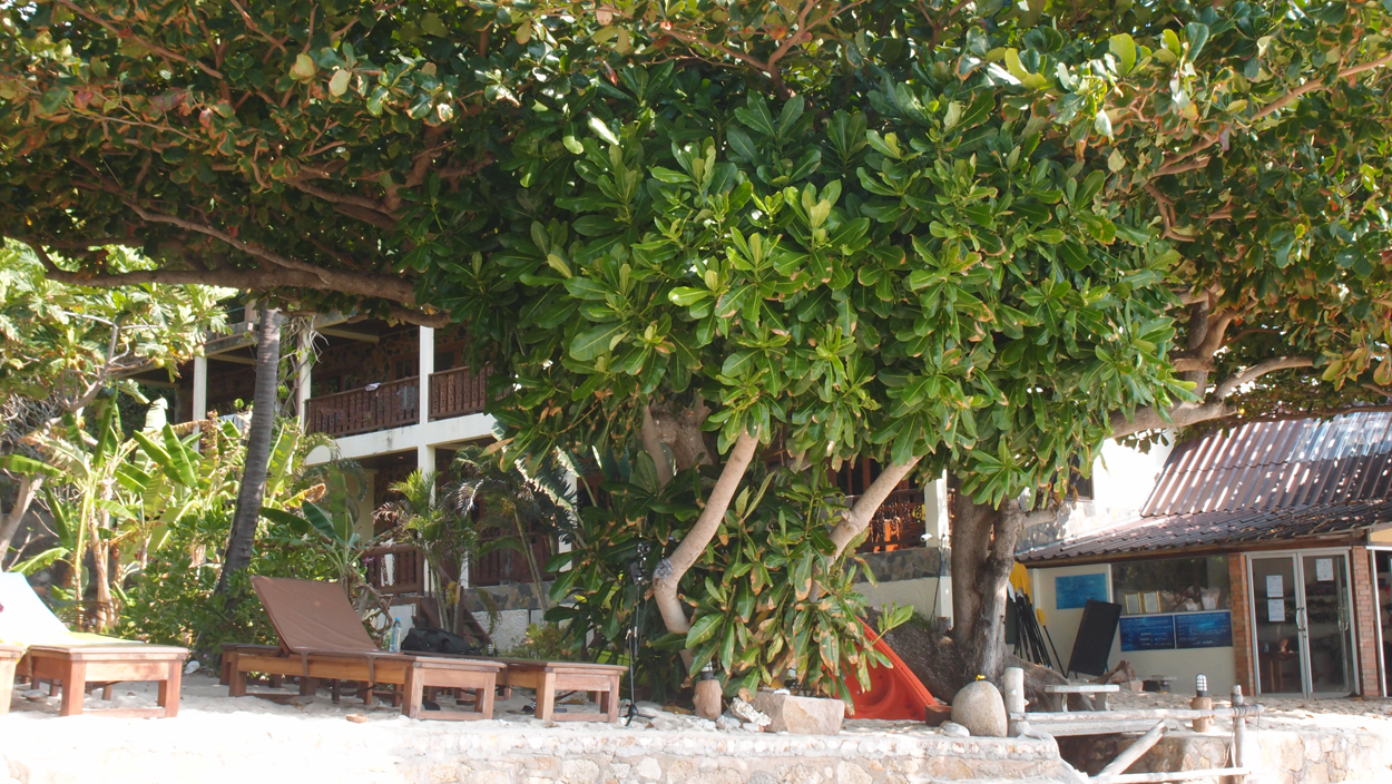 2019-12-23 - 2020-01-01 Coral View Resort