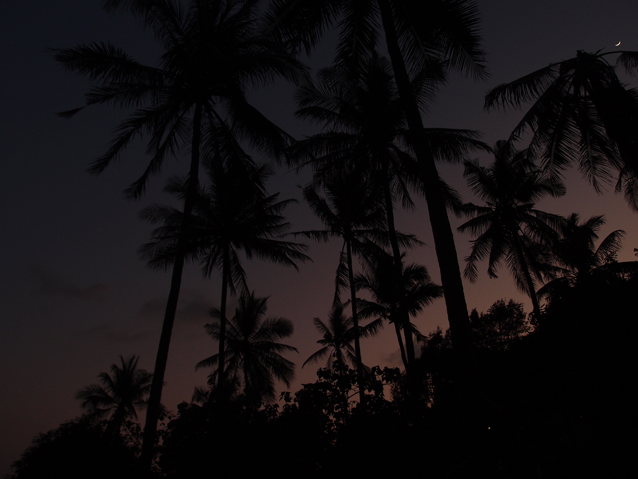2019-12-23 - 2020-01-01 Coral View Resort
