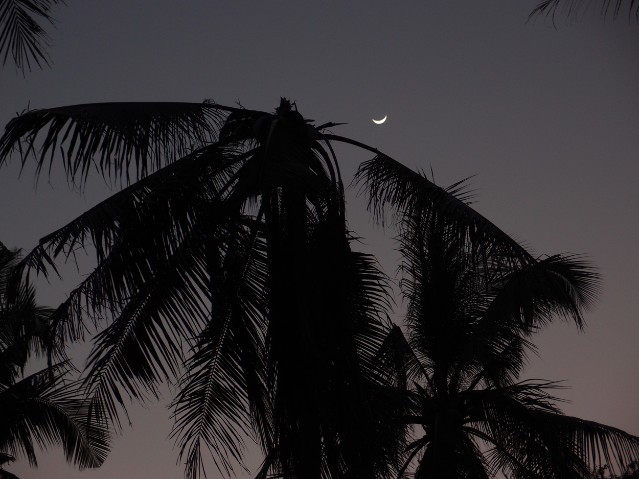 2019-12-23 - 2020-01-01 Coral View Resort