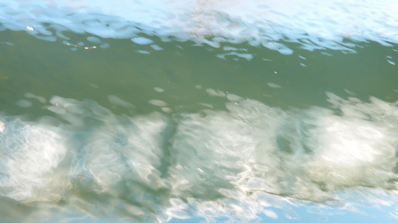 2020-12-30 Spaziergang am Wasser (Fieldrecording Video) 
