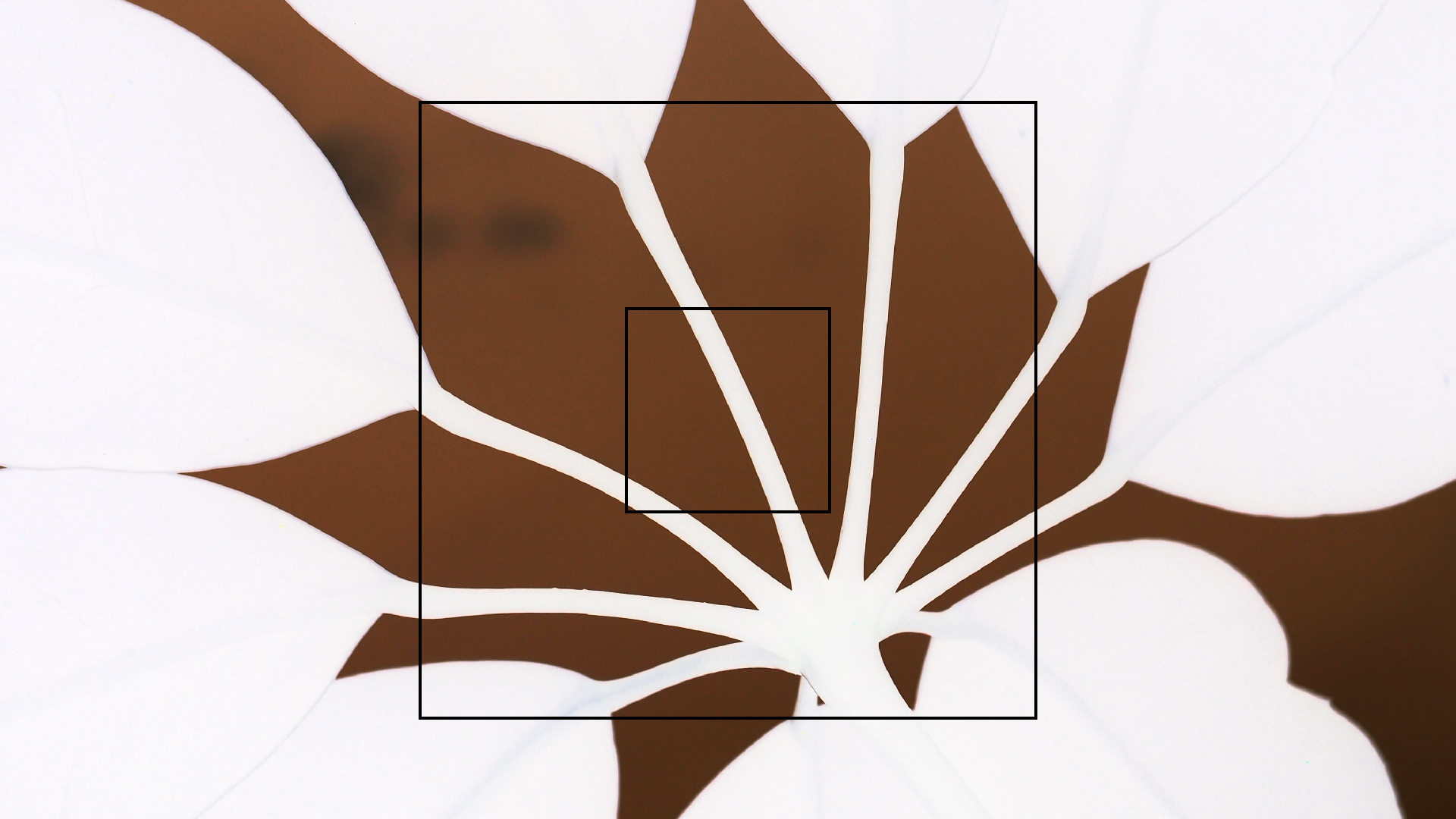 2022-07-12 19 uhr 05 When The Night Comes Falling From The Skies (Audio, Video)