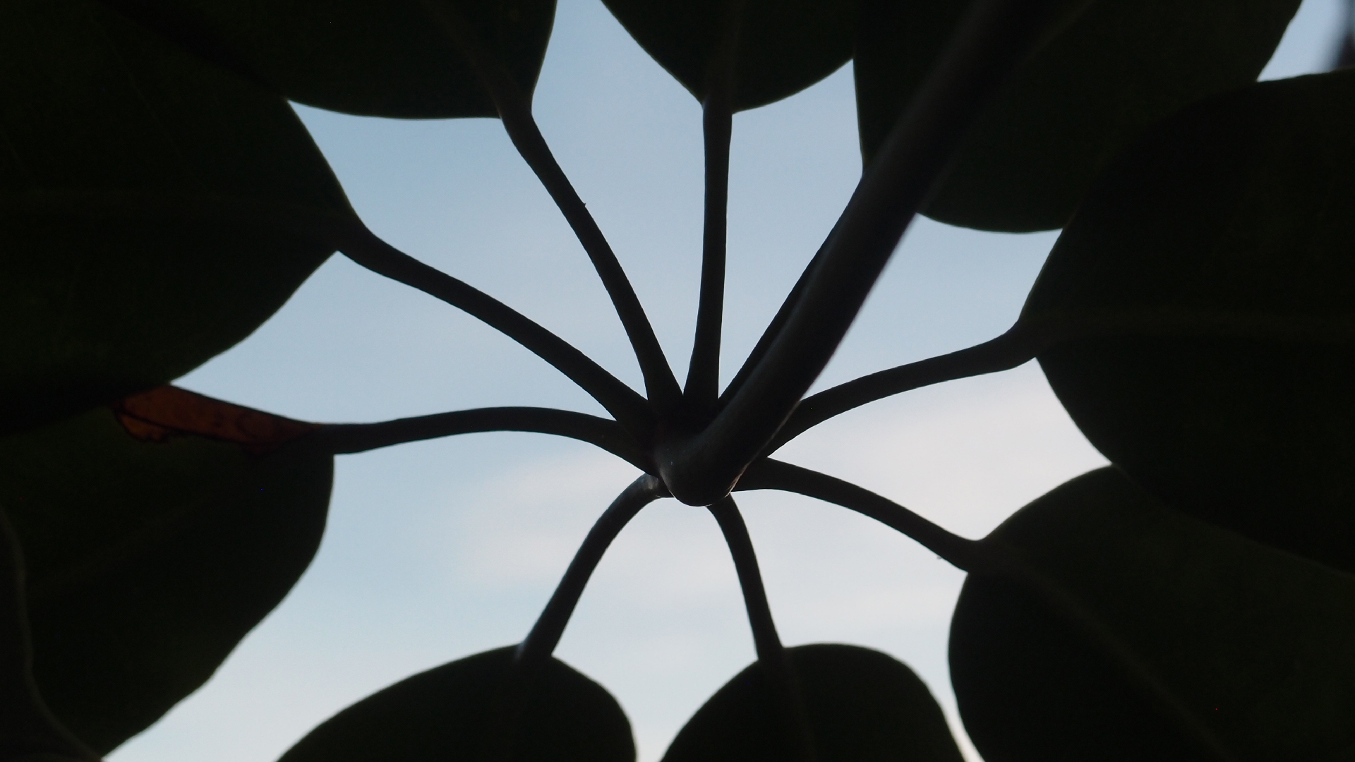 2022-07-12 19 uhr 05 When The Night Comes Falling From The Skies (Audio, Video)