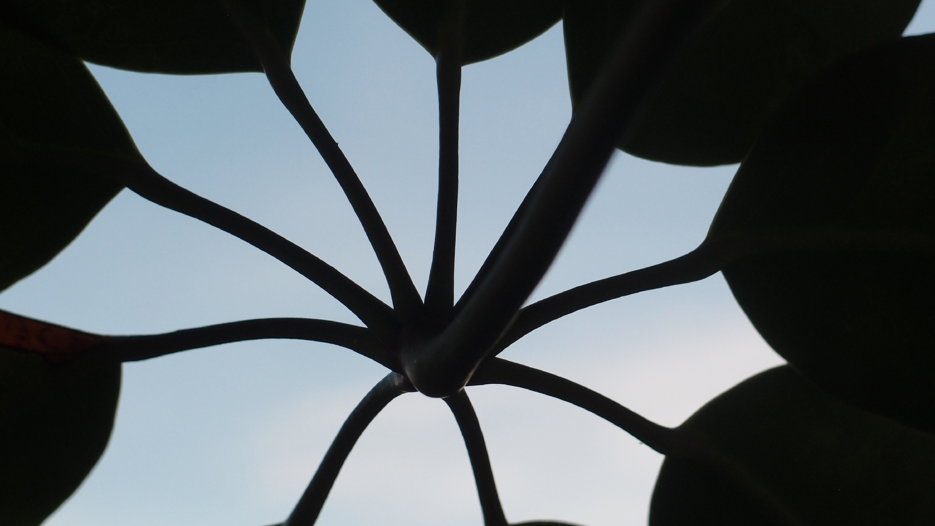 2022-07-12 19 uhr 05 When The Night Comes Falling From The Skies (Audio, Video)