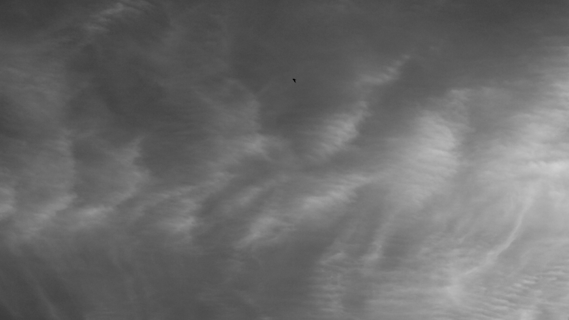 2022-07-12 19 uhr 05 When The Night Comes Falling From The Skies (Audio, Video)