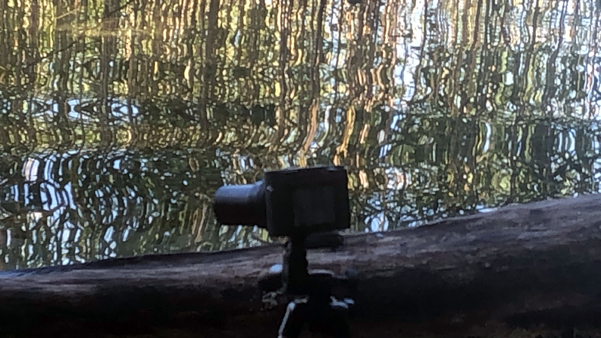 2023-08-19 Licht und Wasser am Stechlin (Fieldrecording Video 3)