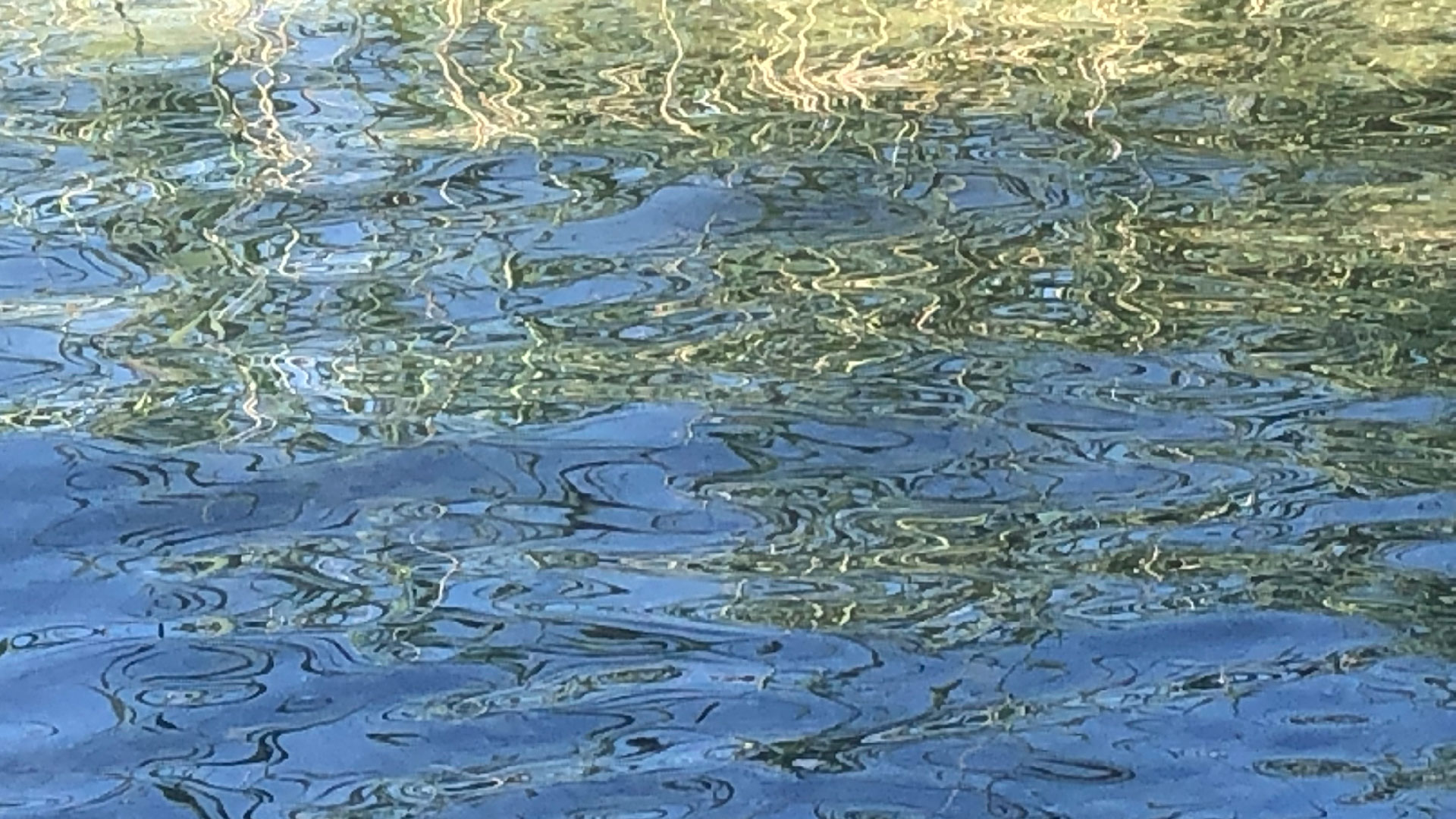 2023-08-19 Licht und Wasser am Stechlin (Fieldrecording Video 4)